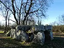 Dolmen la Pierre Couverte de Corbeau.