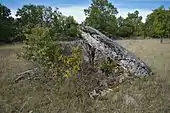 Dolmen de Dirau