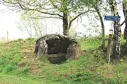 Image illustrative de l’article Dolmen de Peyre Dusets