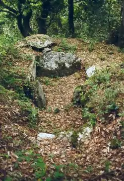 Image illustrative de l’article Dolmen de Pomeiret