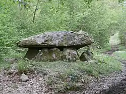 Image illustrative de l’article Dolmen de Ponsat