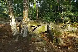 Image illustrative de l’article Dolmen de Mané-Ven-Guen