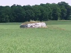 Dolmen de la Mouïse-Martin.