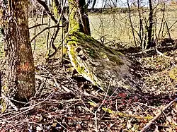 Le dolmen de la Grosse Pierre.