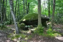 Dolmen du Bois de la Lieue