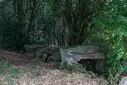 Image illustrative de l’article Allée couverte du Champ-Grosset