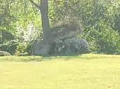 Dolmen du Ver