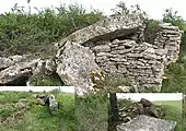 Dolmens de Surguières