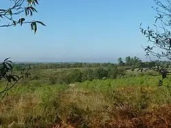 Image illustrative de l’article Double saintongeaise