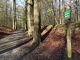 Image illustrative de l’article Drève des Enfants Noyés