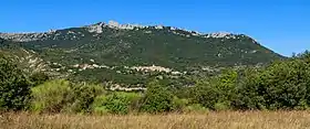 Duilhac-sous-Peyrepertuse