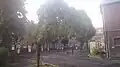 Allée