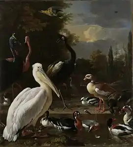 Un pélican et d'autres oiseaux dans une mare1680, Rijksmuseum.