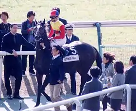 Image illustrative de l’article El Condor Pasa (cheval)