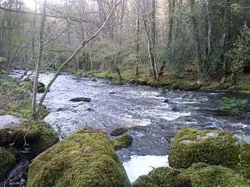 La rivière Ellé un peu en aval de l'abbaye de Langonnet.
