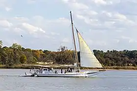 illustration de Elsworth (skipjack)