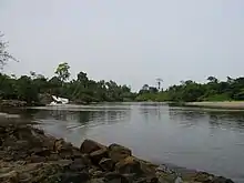 Embouchure de la Lobé