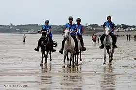 Image illustrative de l’article Denis Le Guillou