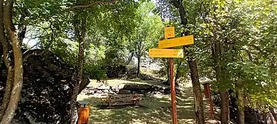 Photographie en couleur d'un sous-bois avec des panneaux indicateurs fixés à un tronc d'arbre.