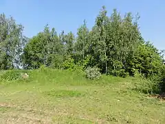 Les restes du terril no 129.