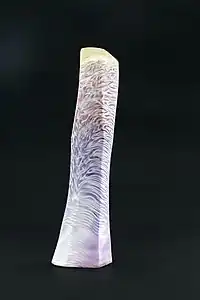 Extension XXVI, pâte de verre, collection de l'artiste, 2018