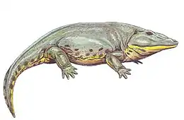 Reconstitution d'Eryops megacephalus par le paléoartiste Dimitri Bogdanov.