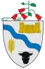 Blason de Río Buenoville et commune du Chili