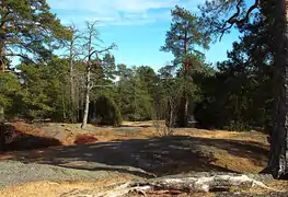 Rochers de Kellomäki au nord-ouest.