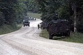 Saber jonction en 2014, soldats estoniens.