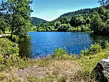 L'étang d'Hérival.