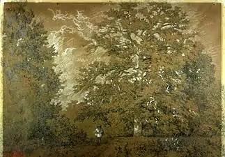 Étude de chênes, musée des Beaux-Arts de Bordeaux