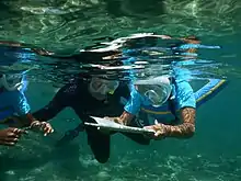 Les élèves de l'école de Saint-Leu plongent pour découvrir les richesses marines de leur aire marine éducative.