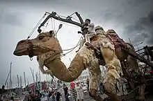 Animation Paimpol2015