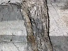 Brèche de faille (métagrywacke et ardoise interstratifiées) dans le Précambrien du Minnesota, USA.