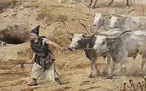 Bœufs gris hongrois