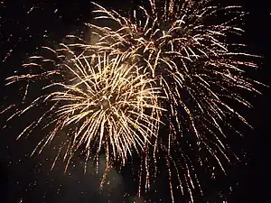 Le feu d'artifice du 14 juillet