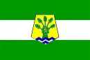 Drapeau de Province de Benslimaneⵜⴰⵙⴳⴰ ⵏ ⴰⵢⵜ ⵙⵍⵉⵎⴰⵏ