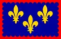 Drapeau du Berry.
