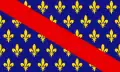 Drapeau du Bourbonnais.