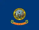 icône décorative