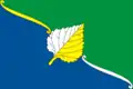 Drapeau du district