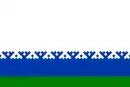 Drapeau de la Nénétsie.