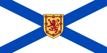 icône décorative