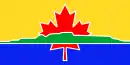 Drapeau de Thunder Bay