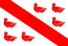 Drapeau de Tinlot