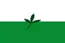 Flag of the Department of Vaupés