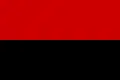 Drapeau de l'OUN-B