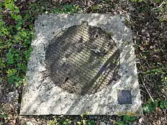 La tête de puits matérialisée no 1.