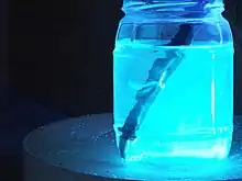 Fluorescence de l'esculine