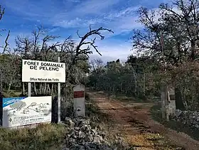 Image illustrative de l’article Forêt domaniale de Pélenc